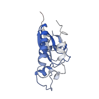 21564_6w6v_E_v1-1
Structure of yeast RNase MRP holoenzyme