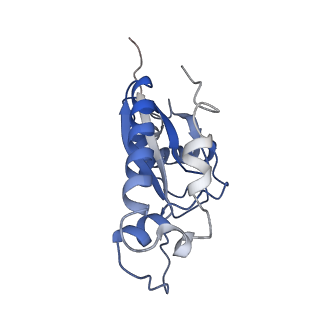 21564_6w6v_E_v1-2
Structure of yeast RNase MRP holoenzyme