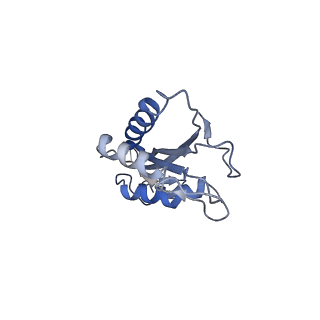 21564_6w6v_F_v1-1
Structure of yeast RNase MRP holoenzyme