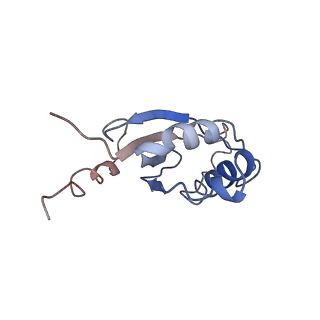 21564_6w6v_H_v1-1
Structure of yeast RNase MRP holoenzyme