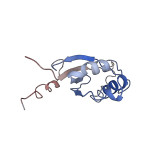 21564_6w6v_H_v1-2
Structure of yeast RNase MRP holoenzyme