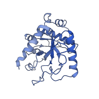 21564_6w6v_I_v1-1
Structure of yeast RNase MRP holoenzyme