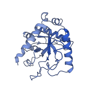 21564_6w6v_I_v1-2
Structure of yeast RNase MRP holoenzyme