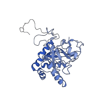 21564_6w6v_J_v1-1
Structure of yeast RNase MRP holoenzyme