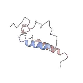 21564_6w6v_K_v1-1
Structure of yeast RNase MRP holoenzyme