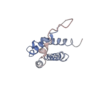 21564_6w6v_L_v1-1
Structure of yeast RNase MRP holoenzyme