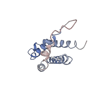 21564_6w6v_L_v1-2
Structure of yeast RNase MRP holoenzyme