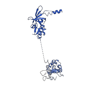 21567_6w6w_C_v1-1
Cryo-EM structure of CST bound to telomeric single-stranded DNA