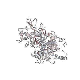 32326_7w68_F_v1-0
human single hexameric Mcm2-7 complex
