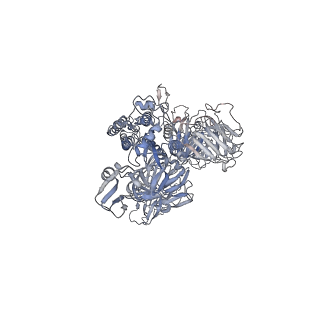 32329_7w6m_A_v1-1
Cryo-EM map of PEDV (Pintung 52) S protein with all three protomers in the D0-down conformation determined in situ on intact viral particles.