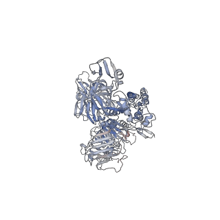 32329_7w6m_B_v1-1
Cryo-EM map of PEDV (Pintung 52) S protein with all three protomers in the D0-down conformation determined in situ on intact viral particles.
