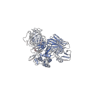 32329_7w6m_C_v1-1
Cryo-EM map of PEDV (Pintung 52) S protein with all three protomers in the D0-down conformation determined in situ on intact viral particles.