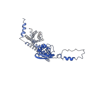 32330_7w6n_B_v1-0
CryoEM structure of human KChIP1-Kv4.3 complex