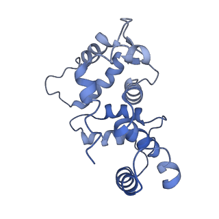 32330_7w6n_C_v1-0
CryoEM structure of human KChIP1-Kv4.3 complex