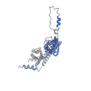32330_7w6n_D_v1-0
CryoEM structure of human KChIP1-Kv4.3 complex