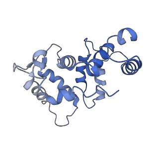 32330_7w6n_E_v1-0
CryoEM structure of human KChIP1-Kv4.3 complex