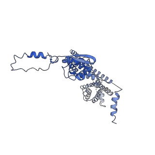 32330_7w6n_F_v1-0
CryoEM structure of human KChIP1-Kv4.3 complex