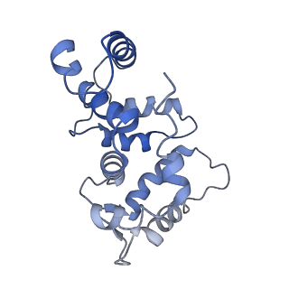 32330_7w6n_G_v1-0
CryoEM structure of human KChIP1-Kv4.3 complex