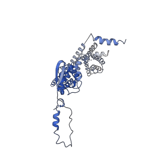 32330_7w6n_H_v1-0
CryoEM structure of human KChIP1-Kv4.3 complex