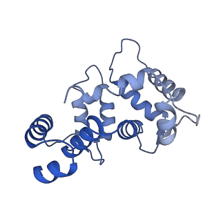32334_7w6s_A_v1-0
CryoEM structure of human KChIP2-Kv4.3 complex