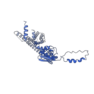 32334_7w6s_B_v1-0
CryoEM structure of human KChIP2-Kv4.3 complex