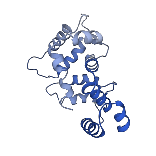 32334_7w6s_C_v1-0
CryoEM structure of human KChIP2-Kv4.3 complex