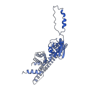 32334_7w6s_D_v1-0
CryoEM structure of human KChIP2-Kv4.3 complex