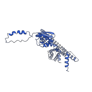 32334_7w6s_F_v1-0
CryoEM structure of human KChIP2-Kv4.3 complex