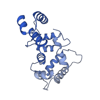 32334_7w6s_G_v1-0
CryoEM structure of human KChIP2-Kv4.3 complex
