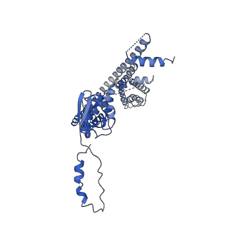 32334_7w6s_H_v1-0
CryoEM structure of human KChIP2-Kv4.3 complex