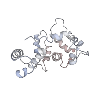 32335_7w6t_A_v1-0
CryoEM structure of human KChIP1-Kv4.3-DPP6 complex