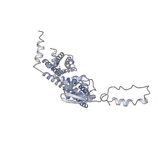 32335_7w6t_B_v1-0
CryoEM structure of human KChIP1-Kv4.3-DPP6 complex