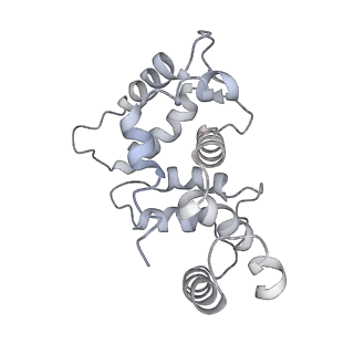 32335_7w6t_C_v1-0
CryoEM structure of human KChIP1-Kv4.3-DPP6 complex