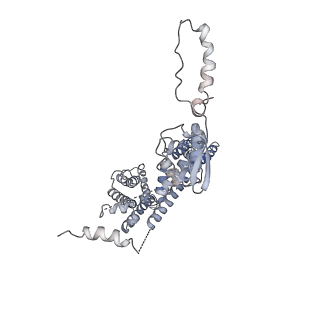32335_7w6t_D_v1-0
CryoEM structure of human KChIP1-Kv4.3-DPP6 complex