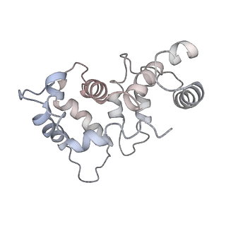 32335_7w6t_E_v1-0
CryoEM structure of human KChIP1-Kv4.3-DPP6 complex