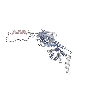 32335_7w6t_F_v1-0
CryoEM structure of human KChIP1-Kv4.3-DPP6 complex