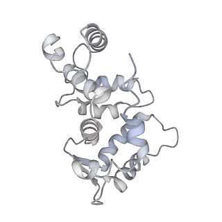 32335_7w6t_G_v1-0
CryoEM structure of human KChIP1-Kv4.3-DPP6 complex