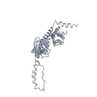 32335_7w6t_H_v1-0
CryoEM structure of human KChIP1-Kv4.3-DPP6 complex