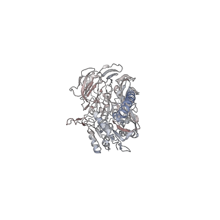 32335_7w6t_I_v1-0
CryoEM structure of human KChIP1-Kv4.3-DPP6 complex