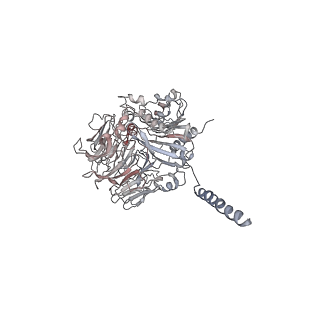 32335_7w6t_J_v1-0
CryoEM structure of human KChIP1-Kv4.3-DPP6 complex