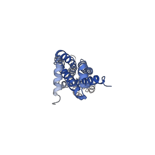 37324_8w6i_A_v1-0
Cryo-EM structure of Escherichia coli Str K12 FtsEX complex with ATP-gamma-S in peptidisc