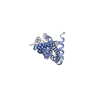 37324_8w6i_C_v1-0
Cryo-EM structure of Escherichia coli Str K12 FtsEX complex with ATP-gamma-S in peptidisc