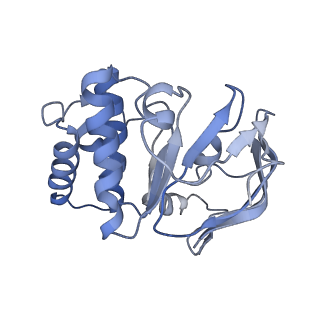 37324_8w6i_D_v1-0
Cryo-EM structure of Escherichia coli Str K12 FtsEX complex with ATP-gamma-S in peptidisc