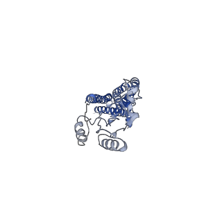 37325_8w6j_A_v1-0
Cryo-EM structure of Escherichia coli Str K12 FtsE(E163Q)X/EnvC complex with ATP in peptidisc