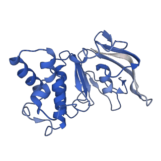 37325_8w6j_B_v1-0
Cryo-EM structure of Escherichia coli Str K12 FtsE(E163Q)X/EnvC complex with ATP in peptidisc