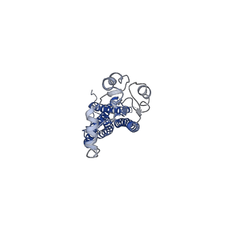 37325_8w6j_C_v1-0
Cryo-EM structure of Escherichia coli Str K12 FtsE(E163Q)X/EnvC complex with ATP in peptidisc