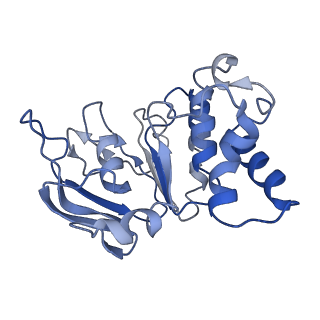 37325_8w6j_D_v1-0
Cryo-EM structure of Escherichia coli Str K12 FtsE(E163Q)X/EnvC complex with ATP in peptidisc