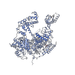 8774_5w64_A_v1-3
RNA Polymerase I Initial Transcribing Complex State 1