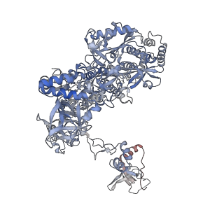 8774_5w64_B_v1-3
RNA Polymerase I Initial Transcribing Complex State 1