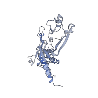 8774_5w64_C_v1-3
RNA Polymerase I Initial Transcribing Complex State 1
